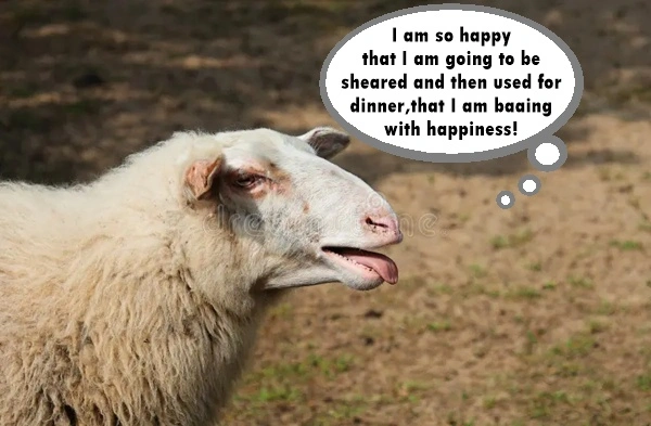 SheepBaahing.webp