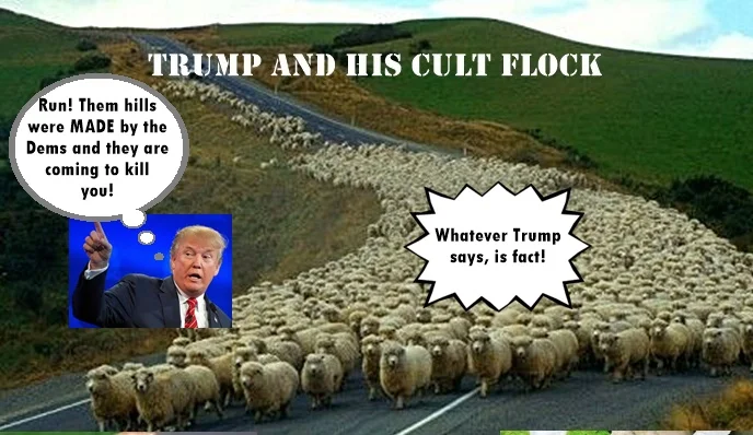 Sheeprepeattrumpfacts.webp