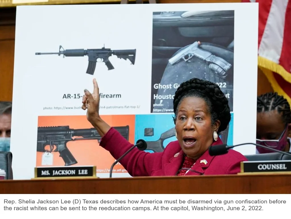 shelia racist gun grabber.webp