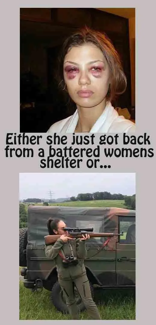 shelter.webp