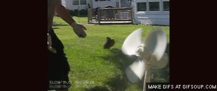 shit-hits-the-fan-o.gif