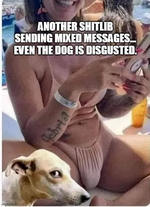 shitlib message.webp