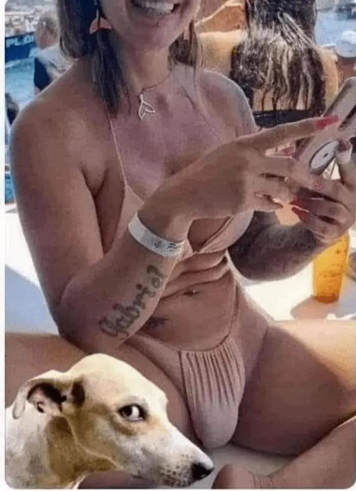 shitlib mixed messages.webp