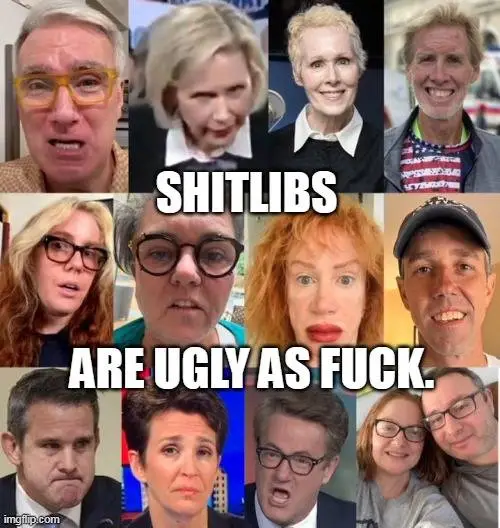 shitlibs ugly as **** 003.webp