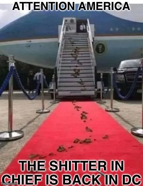 shitter in chief.webp