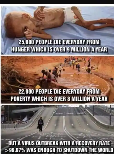 shtudowntheworld.webp