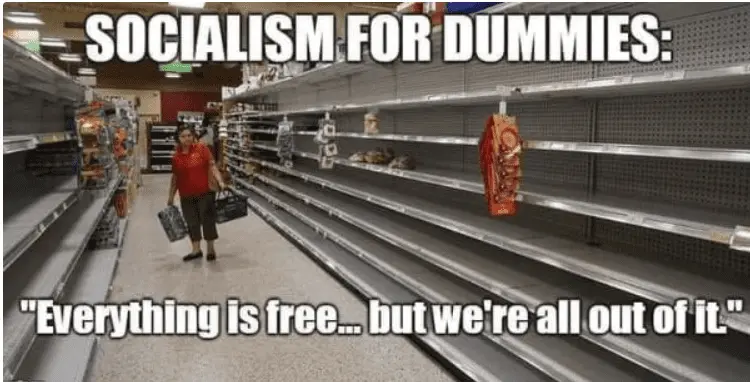 sicialismisfordummiesgdgdg.webp