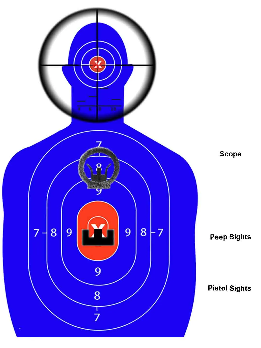 sight usage.webp