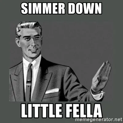 simmer-down-little-fella.webp