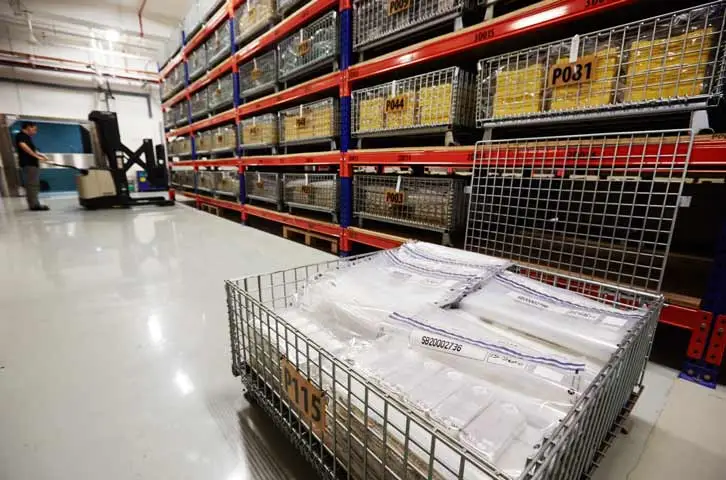 singa11.jpg