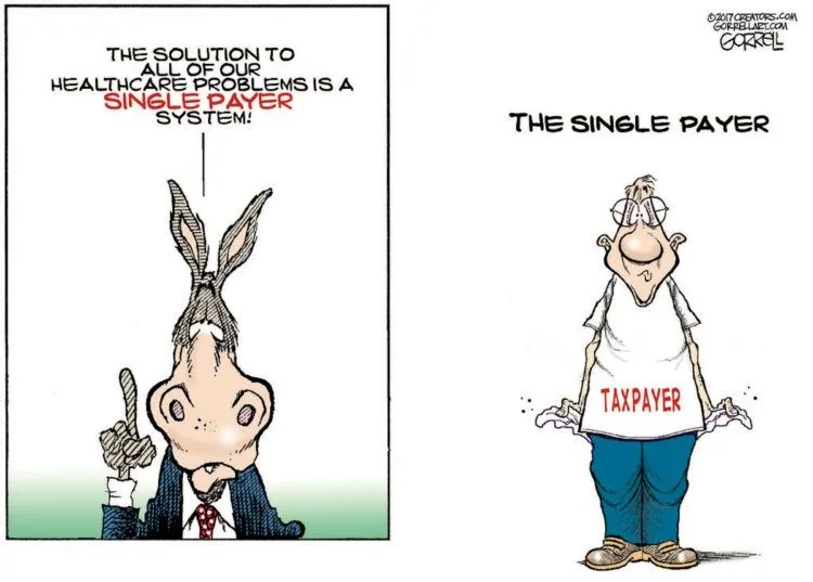 Single payer.webp