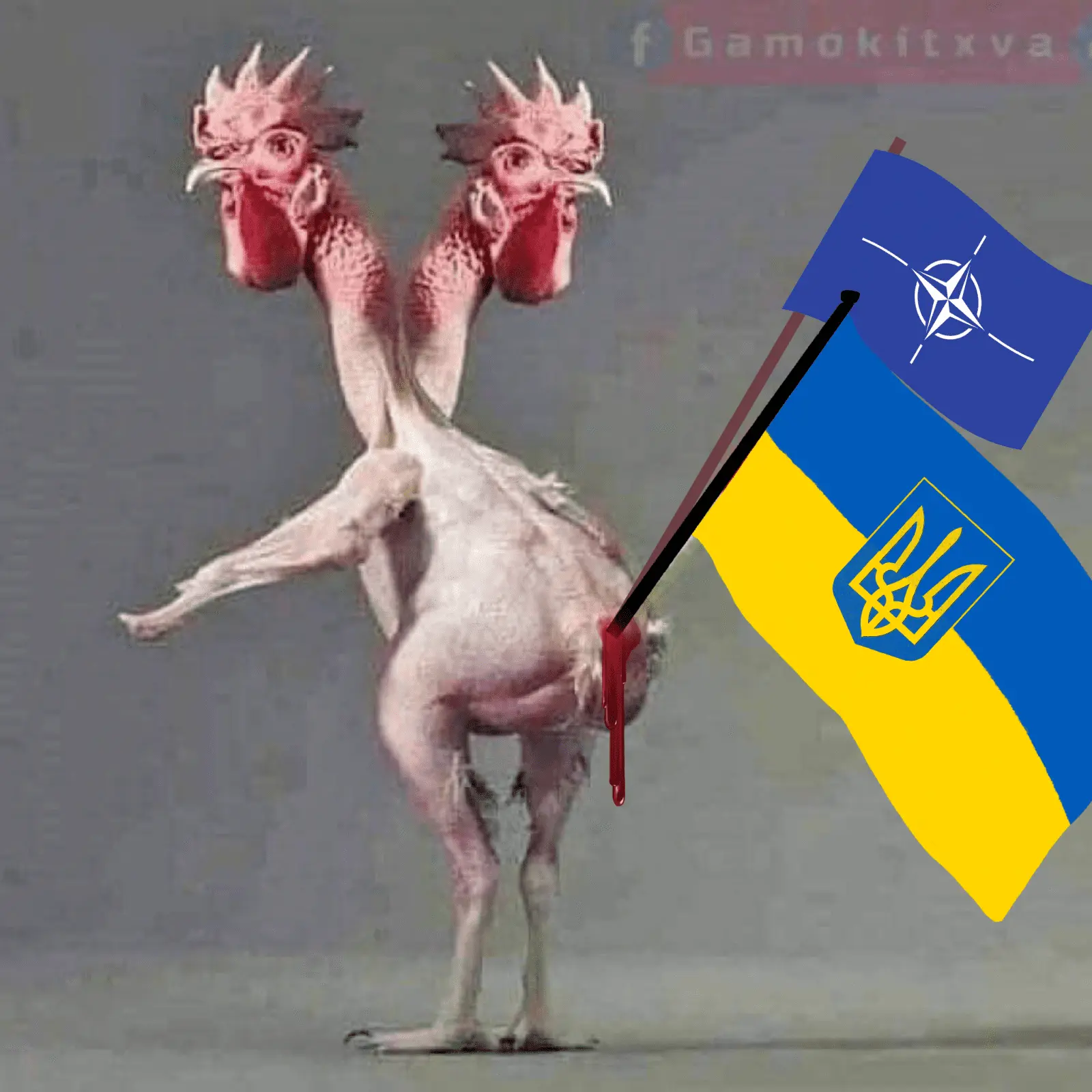 SLAVA2.png