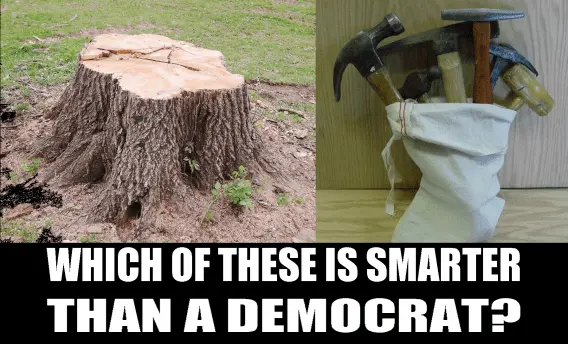smarter than a democrat.webp