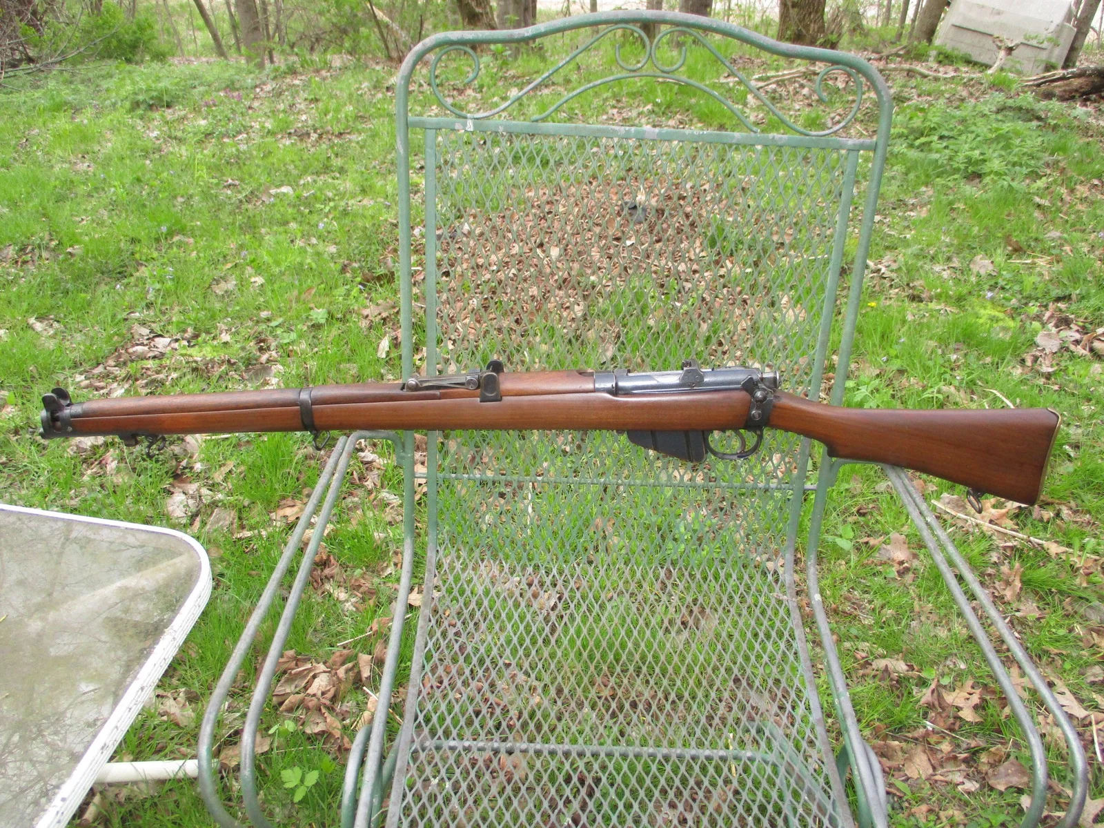 smle1.webp