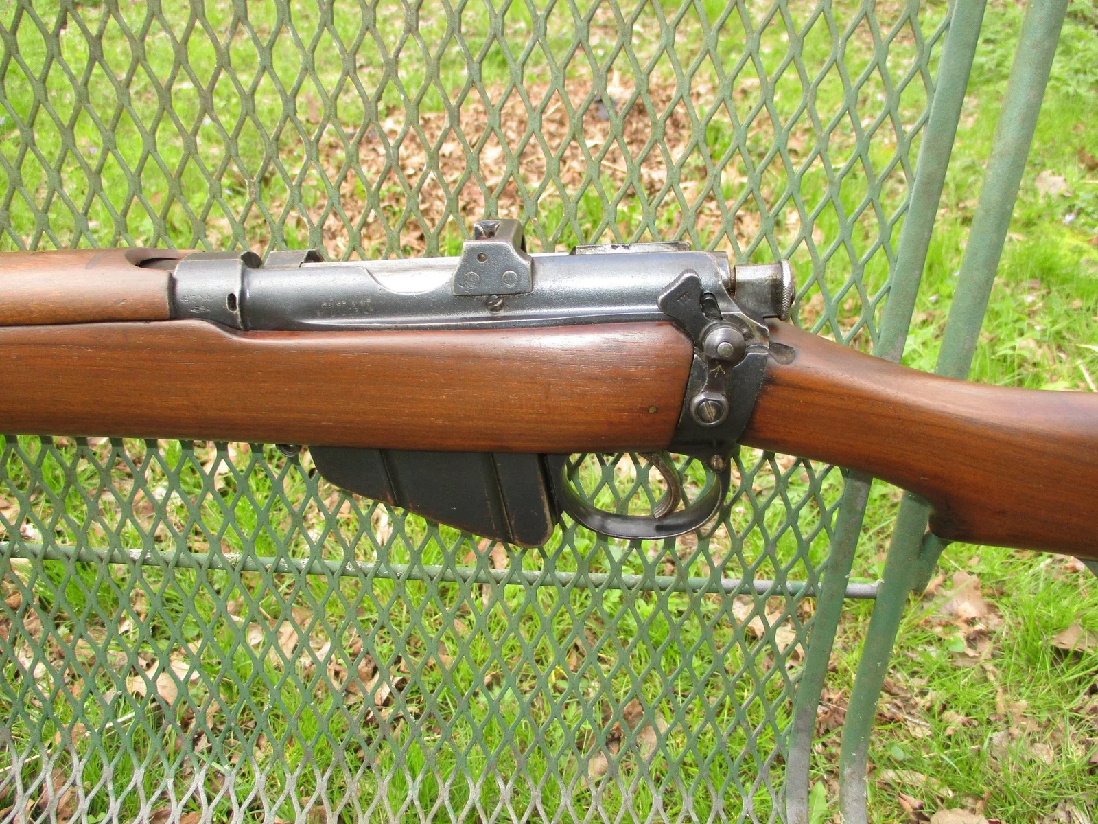 smle2.webp