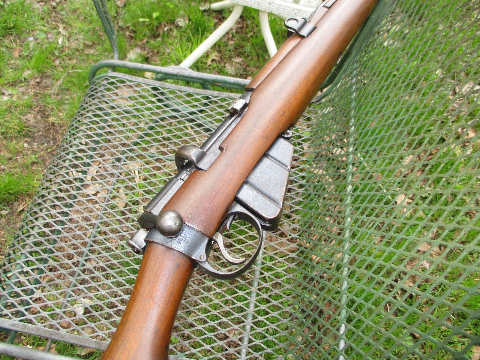 smle3.webp