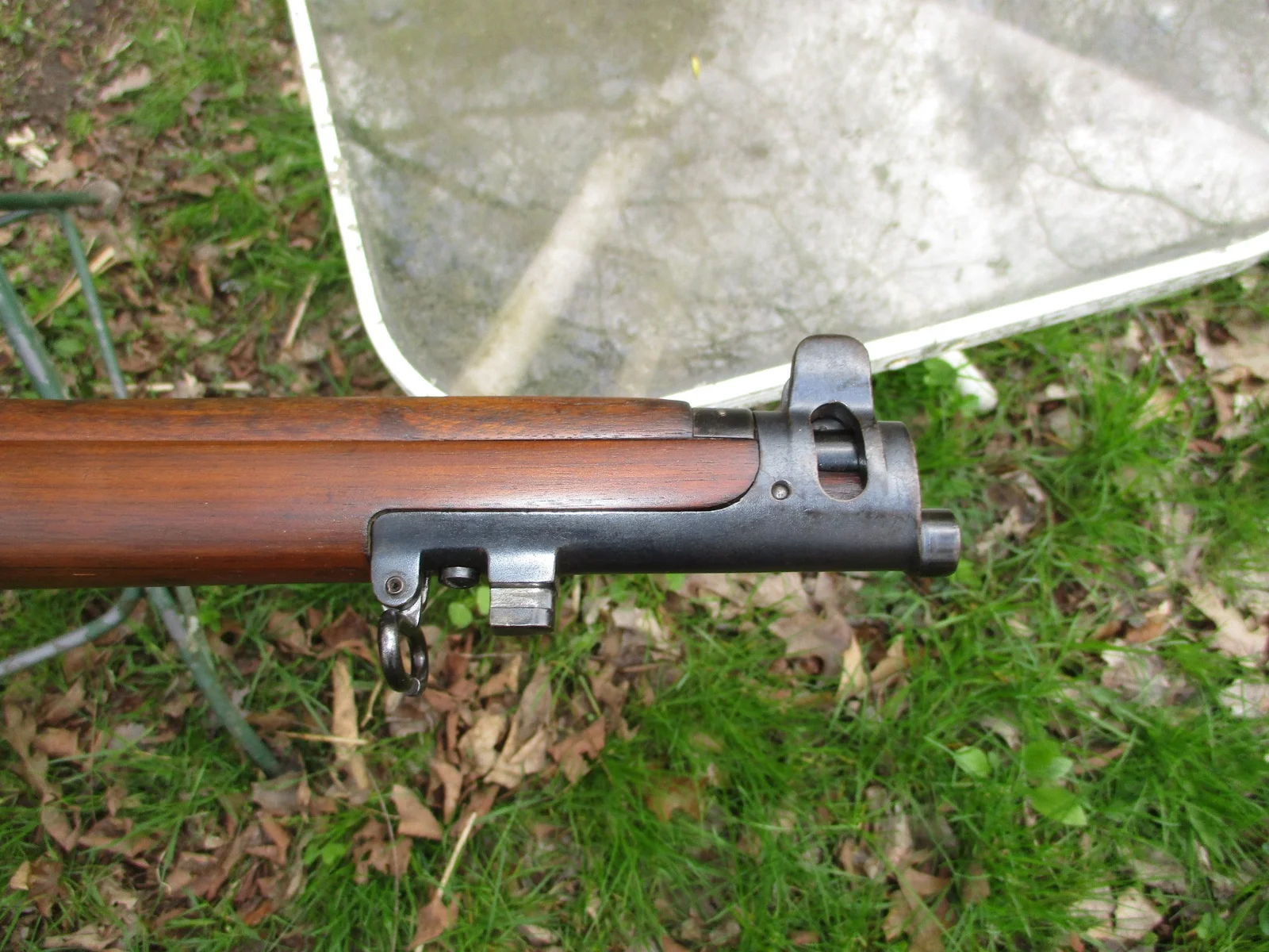 smle4.webp