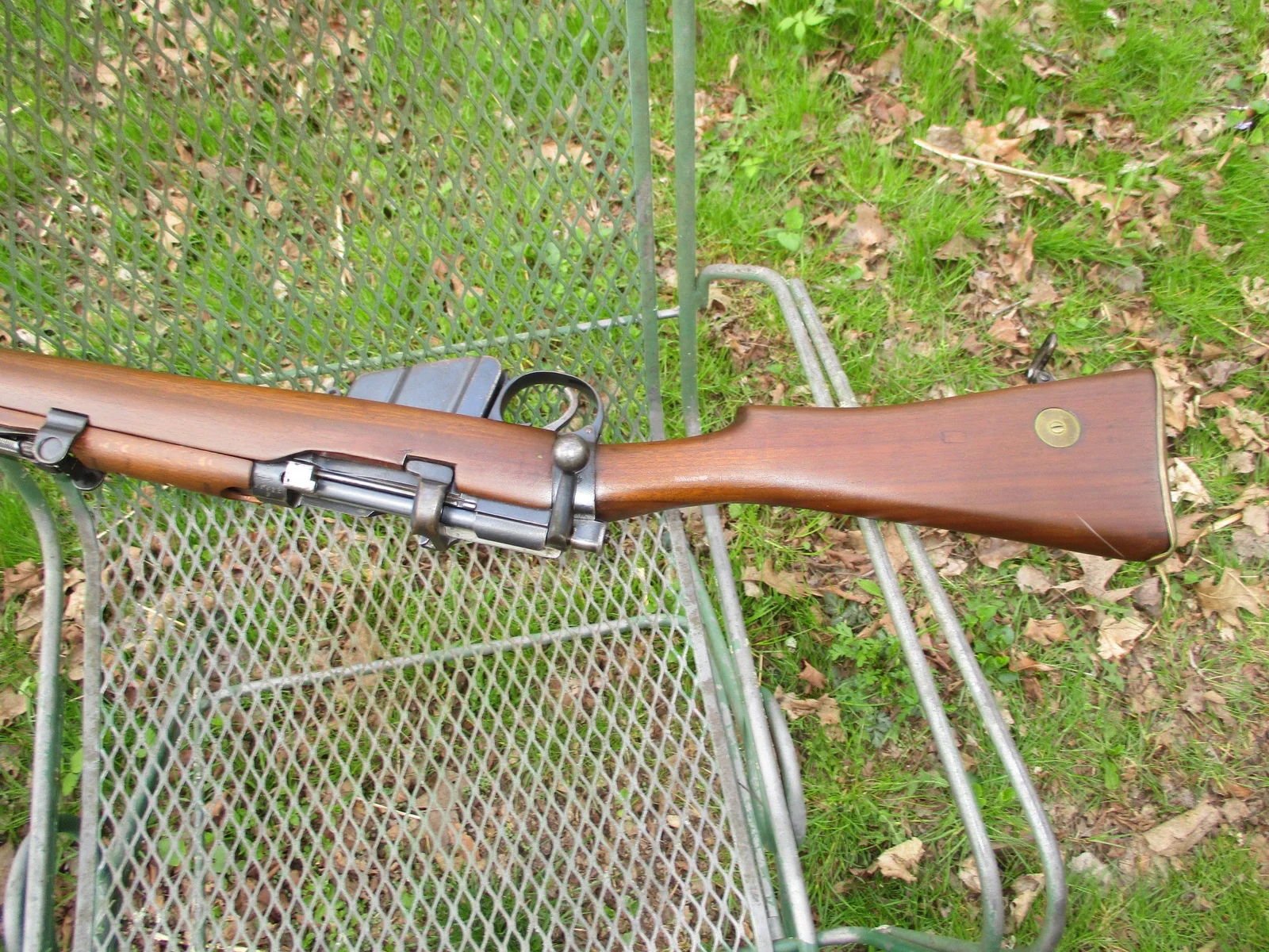 smle5.webp