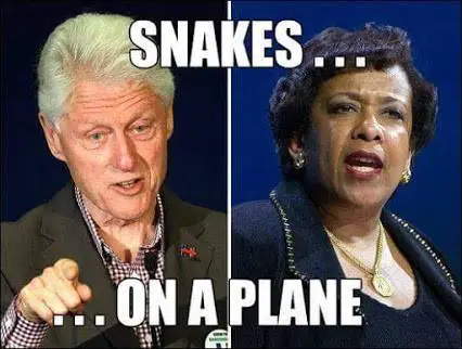snakes on a plane 2.webp
