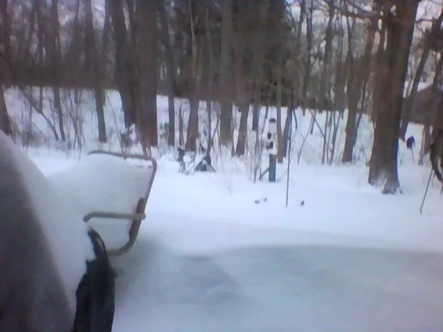 Snapshot_20150127_7.webp