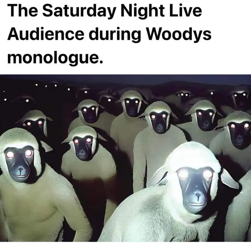 SNL.webp