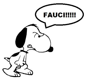 snoopyfauxihjhjhggj4.webp