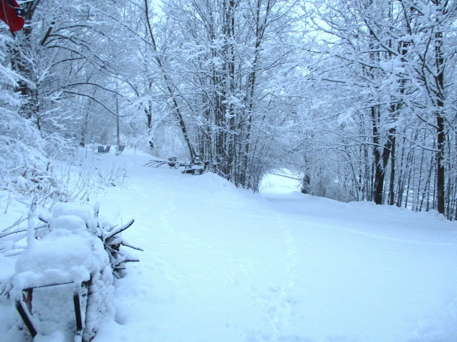 snow.webp