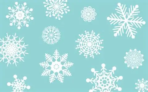 snowflake.webp
