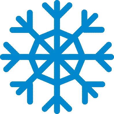 Snowflake_blu_cmyk.webp