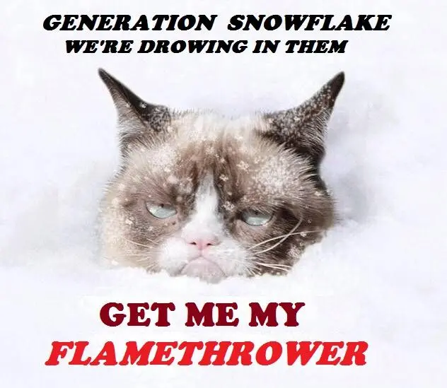 Snowflakes - get my flamethrower.webp