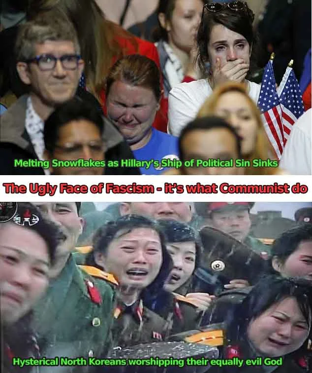 SnowflakesandCommunistsTheSame.webp