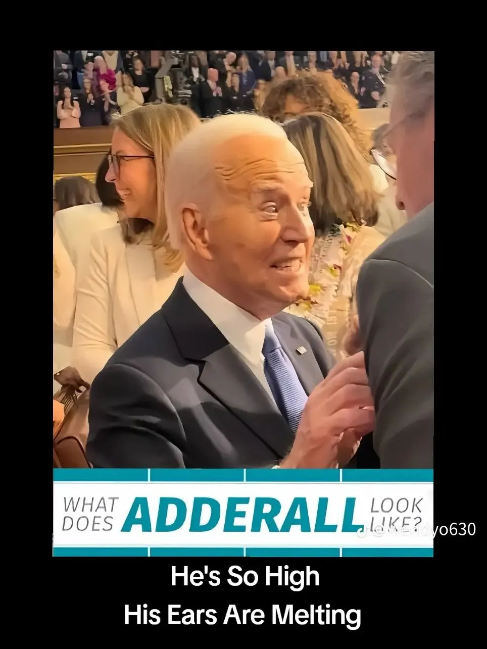 so high his ears are melting.webp