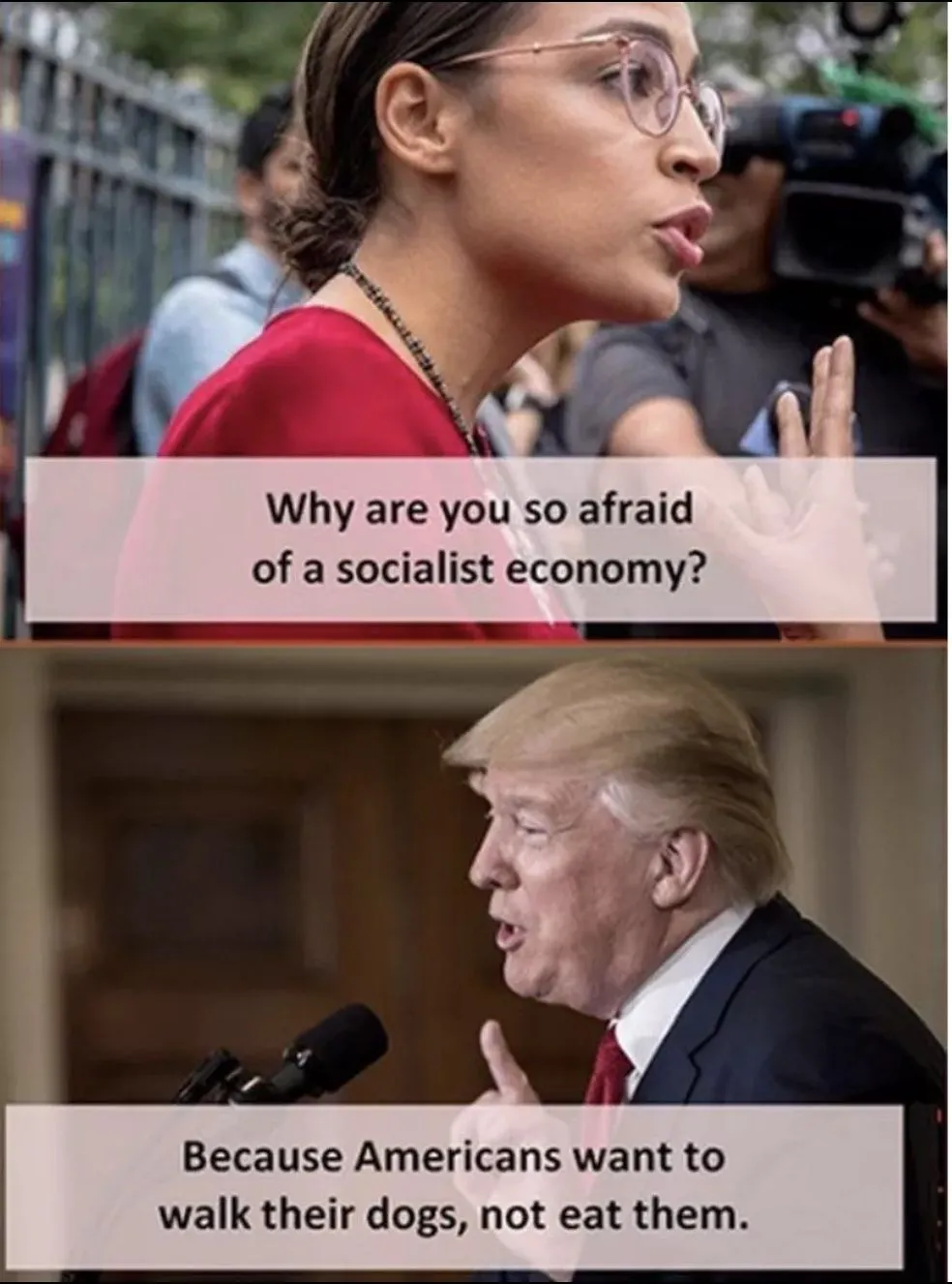 socialism dogs.webp