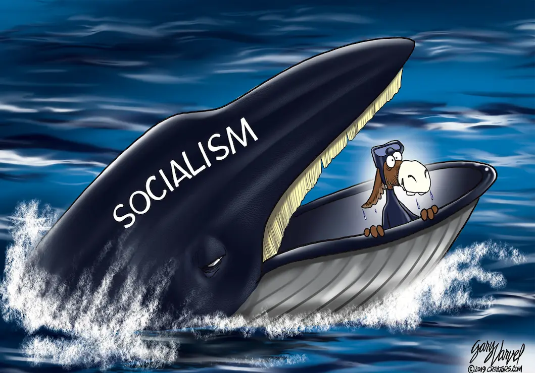 Socialism has hijacked the Democratic Party. - Copy.webp