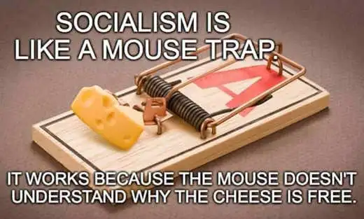socialism-like-mouse-trap-works-because-mouse-doesnt-understand.webp
