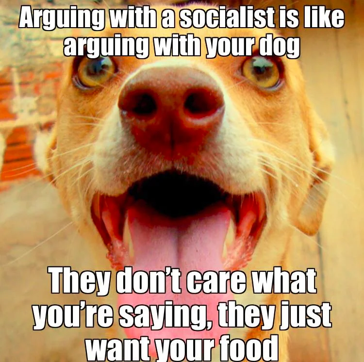 SocialistDog.webp