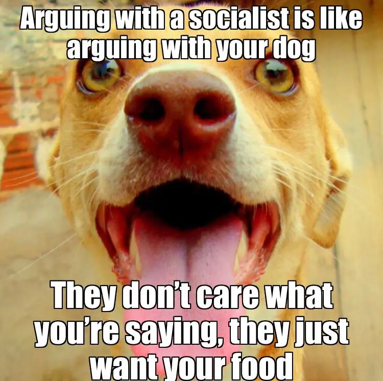 SocialistDog.webp