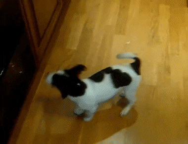 solutions.gif