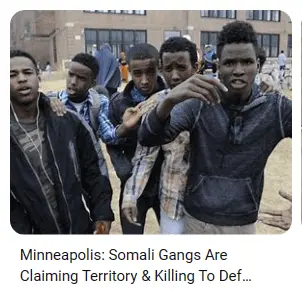 somali-muslim-gangs-in-minnesotagukfgfxg.jpg.webp