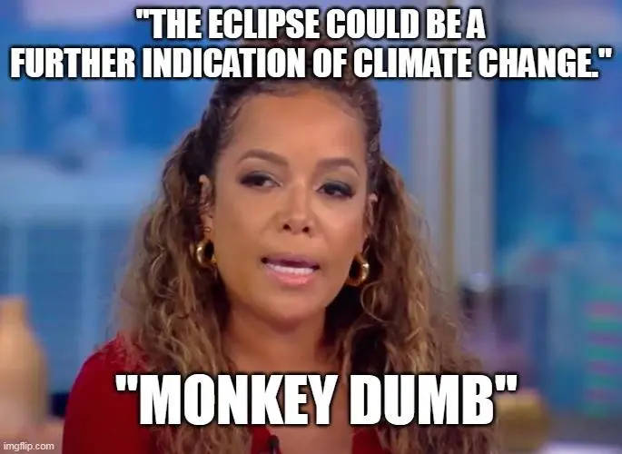 sonny monkey dumb.webp