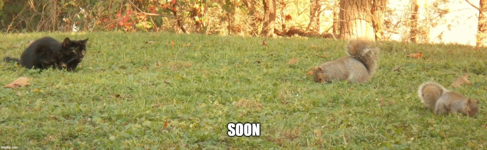 soon.jpg