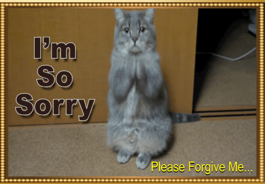 sosorry.gif