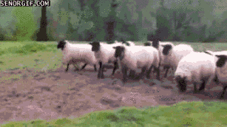 source-1.gif