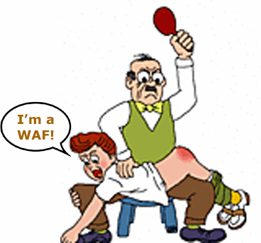 spanking USAF 2023.gif