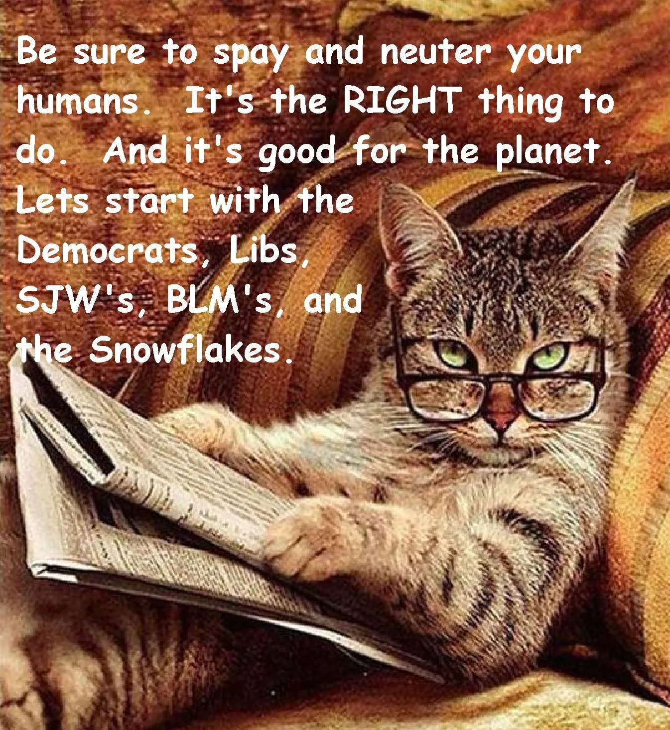 Spay and Neuter your humans.webp