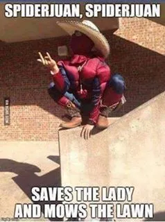 SPIDERJUAN.webp