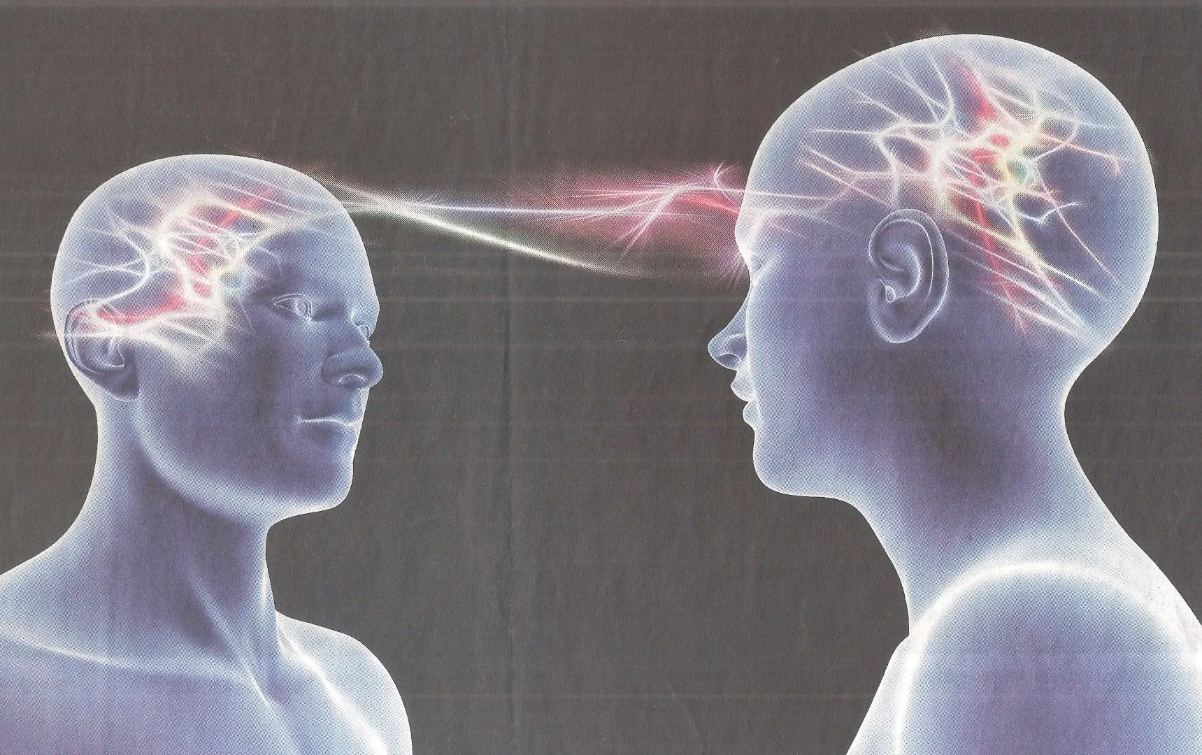 Spiegelneuronen 001 (Large).webp