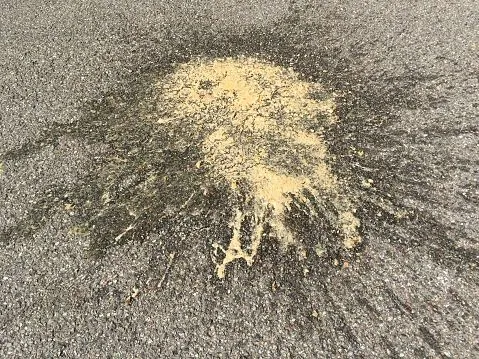 splash-of-vomit-on-road-picture-id836595424.webp