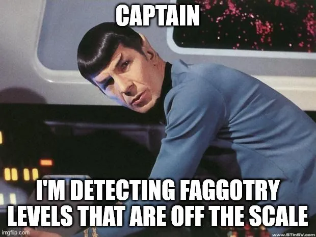 SpockFaggotry.webp