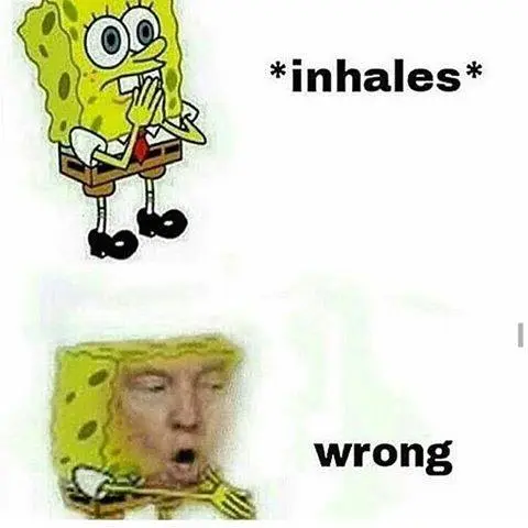 SpongeWrong.webp